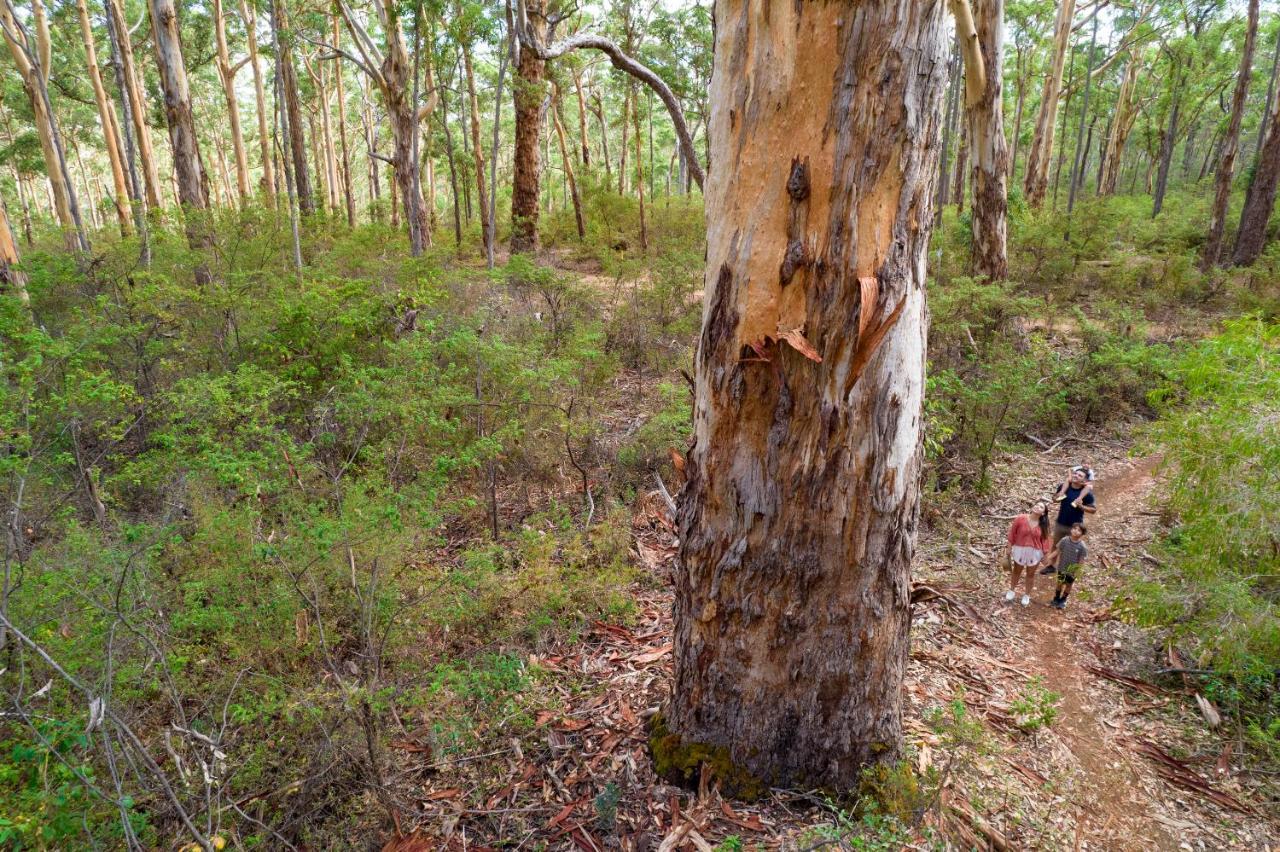 Rac Margaret River Nature Park Bagian luar foto